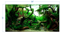 Load image into Gallery viewer, Aquarium Background Tropical Aquascape - vinyl graphic adhesive AQ0036