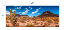 Load image into Gallery viewer, Terrarium Background Desert Landscape v2 - vinyl graphic adhesive TR0003