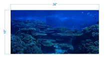 Load image into Gallery viewer, Aquarium Background Underwater Coral Reef - vinyl graphic adhesive AQ0041
