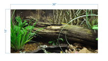 Load image into Gallery viewer, Terrarium Background Tropical Environment - vinyl graphic adhesive TR0005