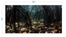 Load image into Gallery viewer, Aquarium Background Underwater Roots - vinyl graphic adhesive AQ0034