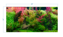 Load image into Gallery viewer, Aquarium Background Tropical Jungle - vinyl graphic adhesive AQ0052