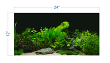Load image into Gallery viewer, Plant Aquarium Tropical Background - vinyl graphic adhesive AQ0060
