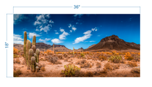 Load image into Gallery viewer, Terrarium Background Desert Landscape v2 - vinyl graphic adhesive TR0003