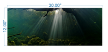 Load image into Gallery viewer, Aquarium Background Underwater roots - vinyl graphic adhesive AQ0015
