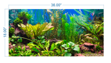 Load image into Gallery viewer, Aquarium Background Planted Aquarium Tropical 2 - vinyl graphic adhesive AQ0019