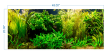 Load image into Gallery viewer, Aquarium Background Planted Aquarium - vinyl graphic adhesive AQ0017