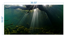 Load image into Gallery viewer, Aquarium Background Underwater roots - vinyl graphic adhesive AQ0015