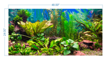 Load image into Gallery viewer, Aquarium Background Planted Aquarium Tropical 2 - vinyl graphic adhesive AQ0019