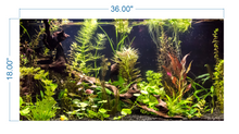 Load image into Gallery viewer, Aquarium Background Planted Aquarium Tropical - vinyl graphic adhesive AQ0018