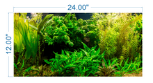 Load image into Gallery viewer, Aquarium Background Planted Aquarium - vinyl graphic adhesive AQ0017