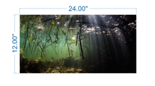 Load image into Gallery viewer, Aquarium Background Underwater Forest - vinyl graphic adhesive AQ0016