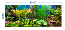 Load image into Gallery viewer, Aquarium Background Planted Aquarium Tropical 2 - vinyl graphic adhesive AQ0019