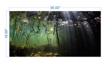 Load image into Gallery viewer, Aquarium Background Underwater Forest - vinyl graphic adhesive AQ0016