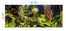Load image into Gallery viewer, Aquarium Background Planted Aquarium Tropical - vinyl graphic adhesive AQ0018
