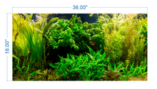 Load image into Gallery viewer, Aquarium Background Planted Aquarium - vinyl graphic adhesive AQ0017