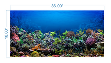 Load image into Gallery viewer, Aquarium Background Poster Coral - vinyl graphic adhesive AQ0010