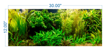Load image into Gallery viewer, Aquarium Background Planted Aquarium - vinyl graphic adhesive AQ0017