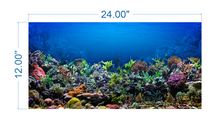 Load image into Gallery viewer, Aquarium Background Poster Coral - vinyl graphic adhesive AQ0010