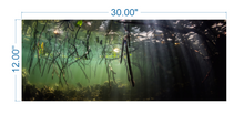 Load image into Gallery viewer, Aquarium Background Underwater Forest - vinyl graphic adhesive AQ0016