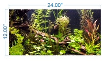 Load image into Gallery viewer, Aquarium Background Planted Aquarium Tropical - vinyl graphic adhesive AQ0018