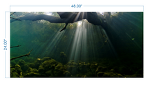 Load image into Gallery viewer, Aquarium Background Underwater roots - vinyl graphic adhesive AQ0015