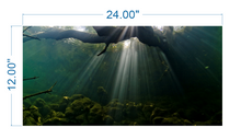 Load image into Gallery viewer, Aquarium Background Underwater roots - vinyl graphic adhesive AQ0015