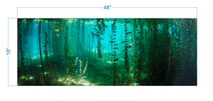 Aquarium Background River Plants Underwater - vinyl graphic adhesive AQ0044