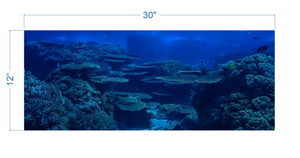 Aquarium Background Underwater Coral Reef - vinyl graphic adhesive AQ0041