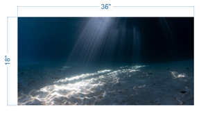 Aquarium Background Underwater Sand - vinyl graphic adhesive AQ0033