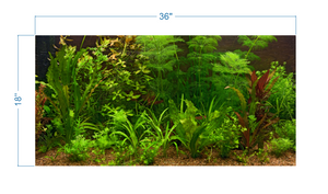 Aquarium Background Fresh Water Decorative Plants -vinyl graphic adhesive AQ0043