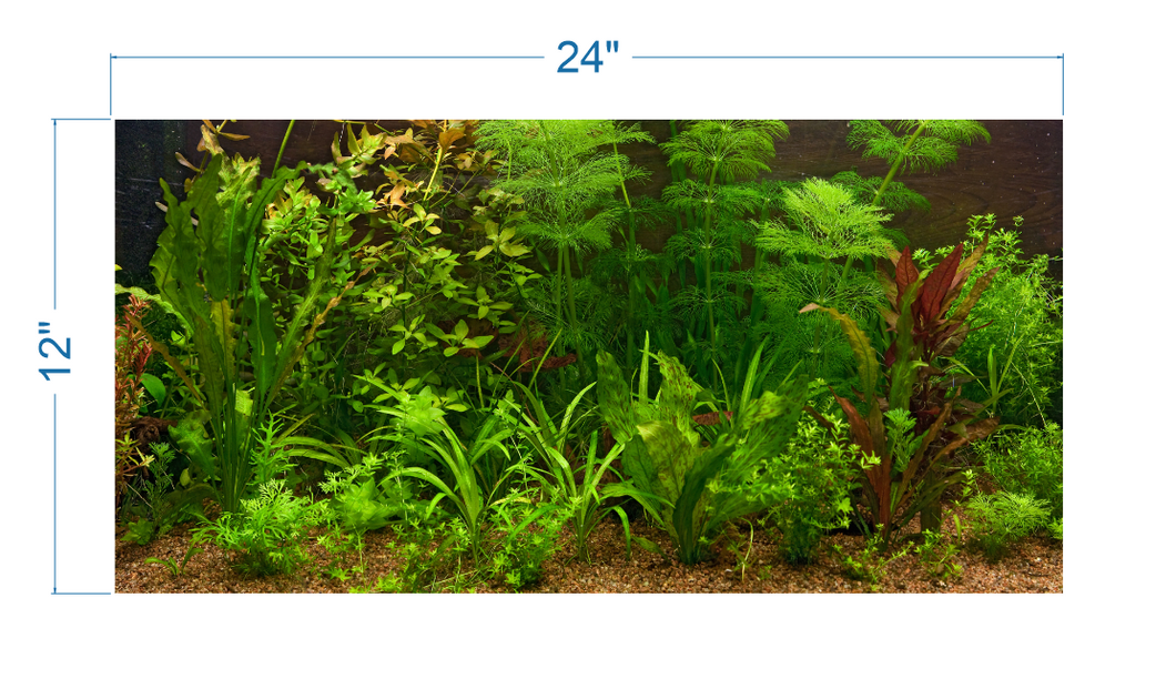 Aquarium Background Fresh Water Decorative Plants -vinyl graphic adhesive AQ0043