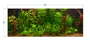 Aquarium Background Fresh Water Decorative Plants -vinyl graphic adhesive AQ0043