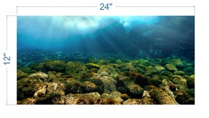 Aquarium Background Underwater Rocks - vinyl graphic adhesive AQ0031