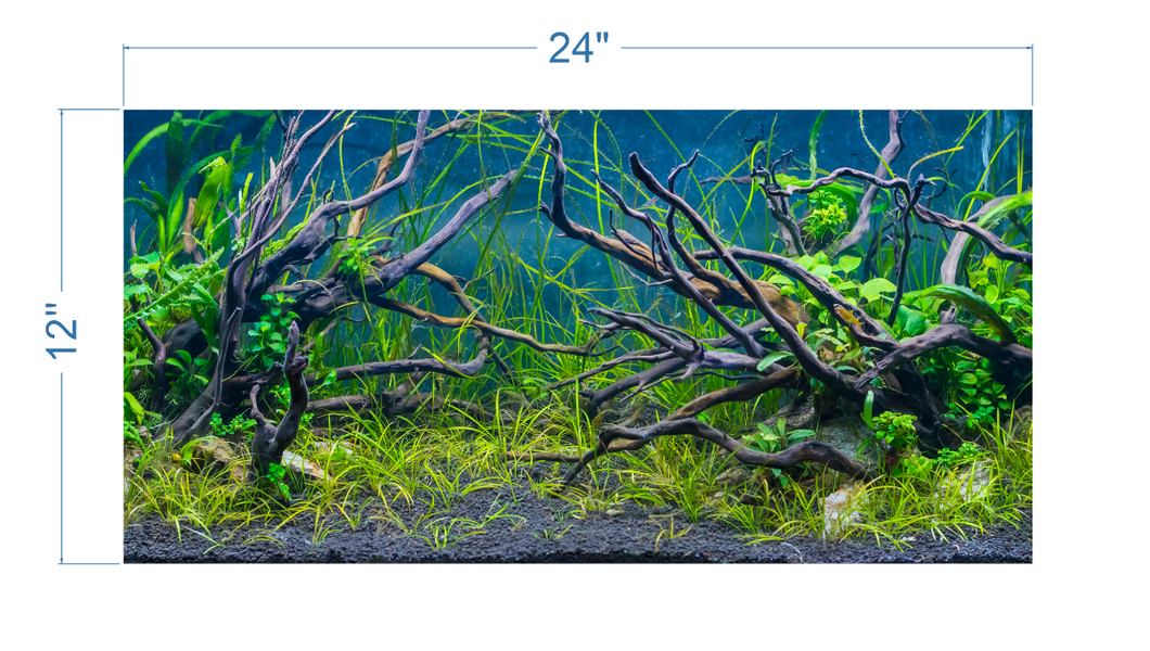 Aquarium Background Planted Aquarium Tropical 3 - vinyl graphic adhesive AQ0038