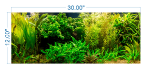 Aquarium Background Planted Aquarium - vinyl graphic adhesive AQ0017