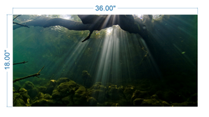 Aquarium Background Underwater roots - vinyl graphic adhesive AQ0015