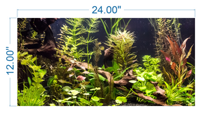 Aquarium Background Planted Aquarium Tropical - vinyl graphic adhesive AQ0018
