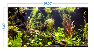 Aquarium Background Planted Aquarium Tropical - vinyl graphic adhesive AQ0018