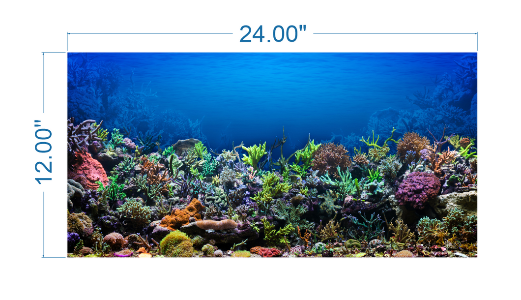 Aquarium Background Poster Coral - vinyl graphic adhesive AQ0010