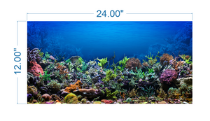 Aquarium Background Poster Coral - vinyl graphic adhesive AQ0010