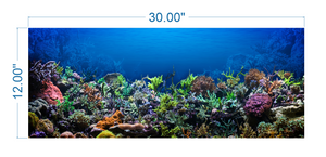 Aquarium Background Poster Coral - vinyl graphic adhesive AQ0010
